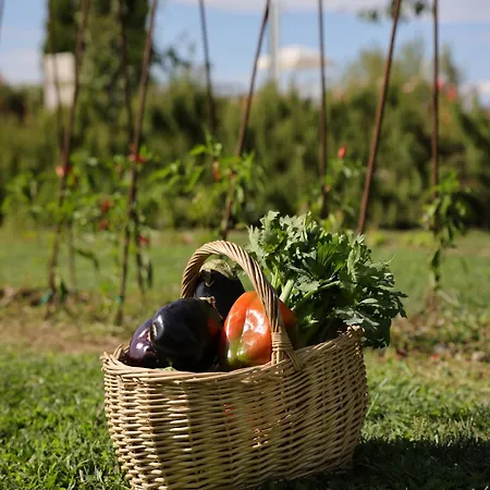 Fenil Conter & Pozzolengo